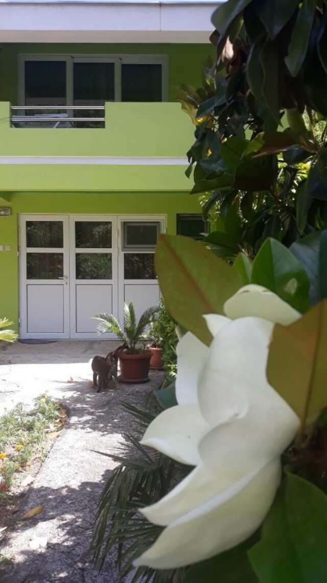 Апартаменты Apartmani Mandić Биела-22